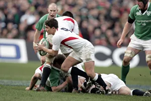 Harry Ellis
