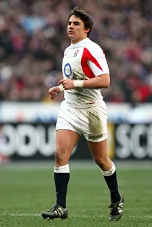 Harry Ellis