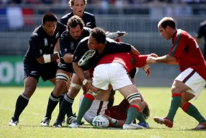 Portugal Prints: Hayman, Mealamu & Masoe