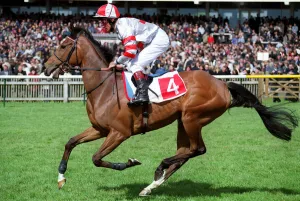 Newmarket Prints: Head In The Clouds