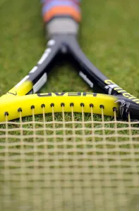 Art Or Moody Prints: Head Tennis Raquet