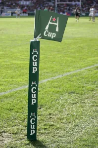 Pole Prints: Heineken Cup Flag & Pole
