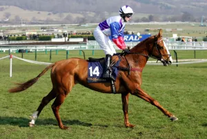 Scudamore Prints: Heltornic
