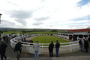 Races Prints: Hexham Racecourse