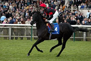 Guineas Prints: Hiddendale