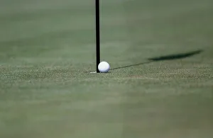 Troon Prints: Get In The Hole