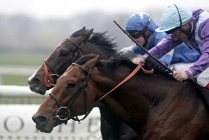 Hurricane Alan & Norse Dancer Hurricane Alan & Norse Dancer