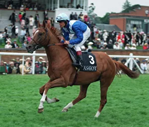 Eddery Prints: Iktamal