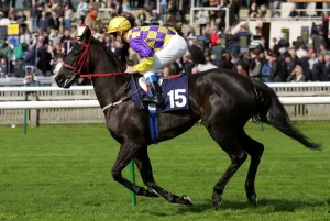 Newmarket Prints: Indian Maiden