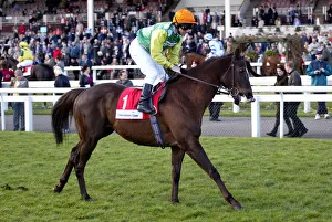 Fortune Prints: Indian Spark