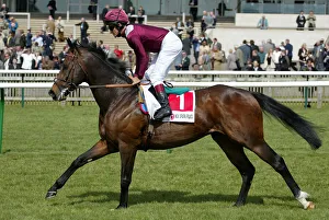 Eddery Prints: Invincible