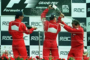 Schumacher Prints: Irvine, M. Schumacher & Todt