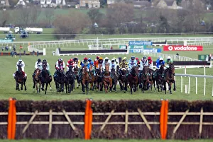 Ist Race Cheltenham 2002