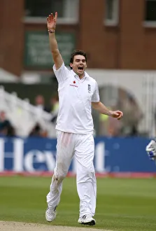 Wicket Prints: James Anderson Celebrates Wicket