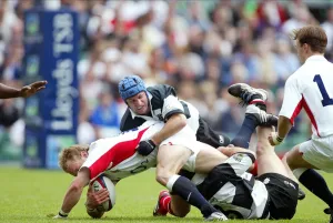 Jamie Prints: Jamie Noon & David Humphreys