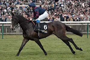 Guineas Prints: Jath