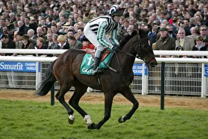 Scudamore Prints: Jaybejay