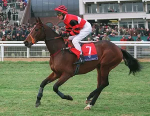 Racehorse Prints: Jet Rules