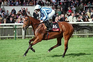 Newmarket Prints: Jezebel
