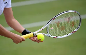 Art Or Moody Prints: Jie Zheng, Racquet & Ball