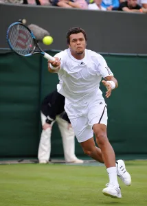 Tsonga Prints: Jo Wilfied Tsonga