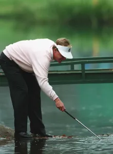 Joakim Haeggman Fishes