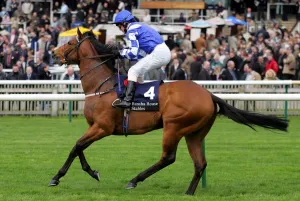 Newmarket Prints: Johannes