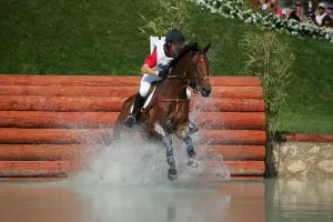 Joris Vanspringel