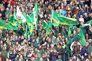 Fans Prints: Jubilant Springbok Fans