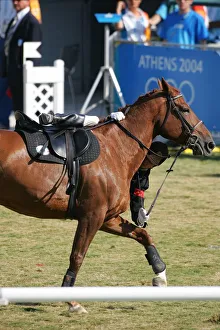 Whip Prints: Show Jumping & Modern Pentathlon