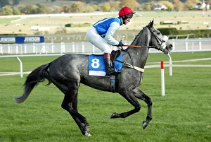 Races Prints: Kandjar D Allier