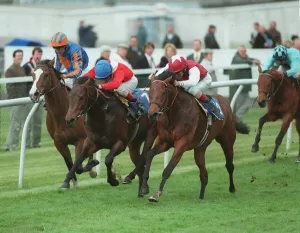 Maiden Prints: Keltoi, Ridden By M. Kinane
