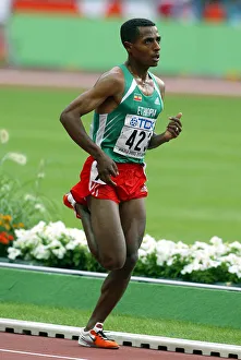 Bekele Prints: Kenensia Bekele