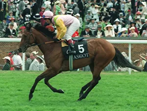 Darley Prints: King Of The East