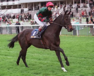 Racehorse Prints: King Of Peru