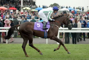 Darley Prints: Kinnaird