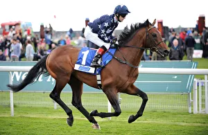 Horse Racing Prints: Kirthill