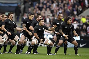 Kiwis Prints: Kiwis Perform The Haka