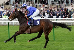Newmarket Prints: Layazaal