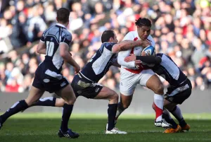 Vainikolo Prints: Lesley Vainikolo Is Challenged