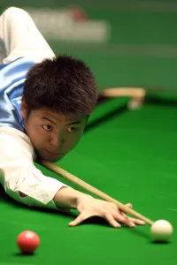 Liang Wenbo
