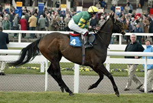 2003 Prints: Lincoln Dancer