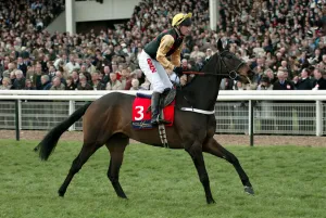 Carberry Prints: Liscannor Lad
