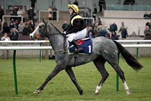 Lord Prints: Lord Jack Flash