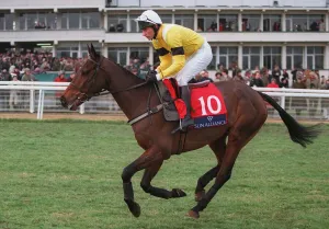 Racehorse Prints: Lottery Ticket