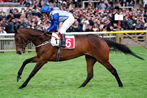 Darley Prints: Love Everlasting