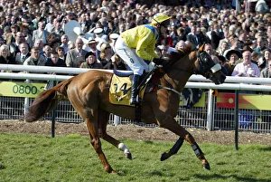 Carberry Prints: Loyal Focus