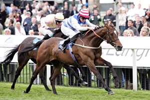 Ahead Prints: Luneron Ahead Of Pevensey Wins