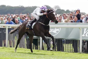 Manning Prints: Lush Lashes Ridden By Kevin Manning Wins