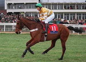 Racehorse Prints: Macnamarasband